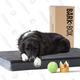 BarkBox Large Gray Orthopedic Memory Foam Dog Bed | $32 | Amazon | Clip the $8 coupon